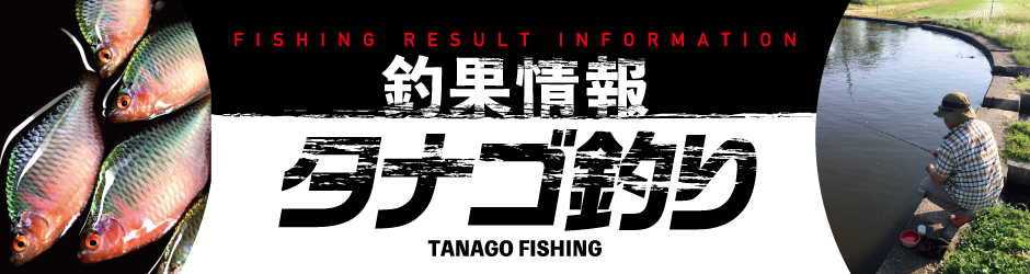 タナゴ釣り情報タナゴ隊（マルキユー株式会社）